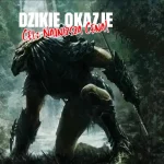 promocja świąteczna-upoluj okazje